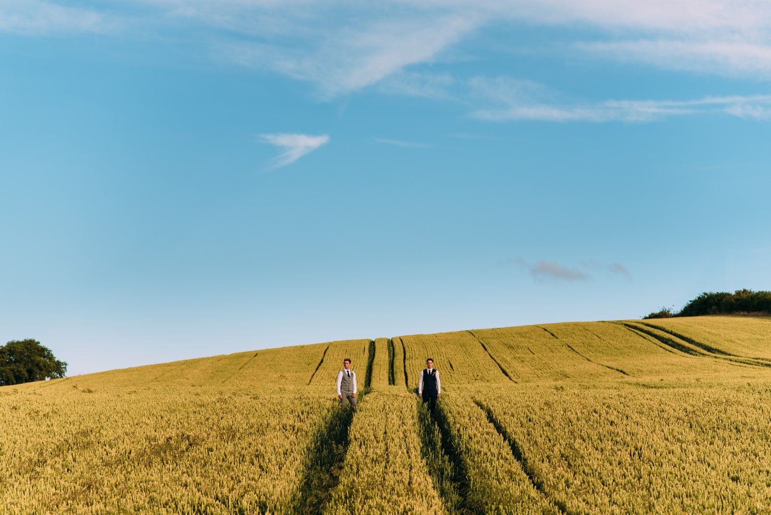 wedding portrait in field