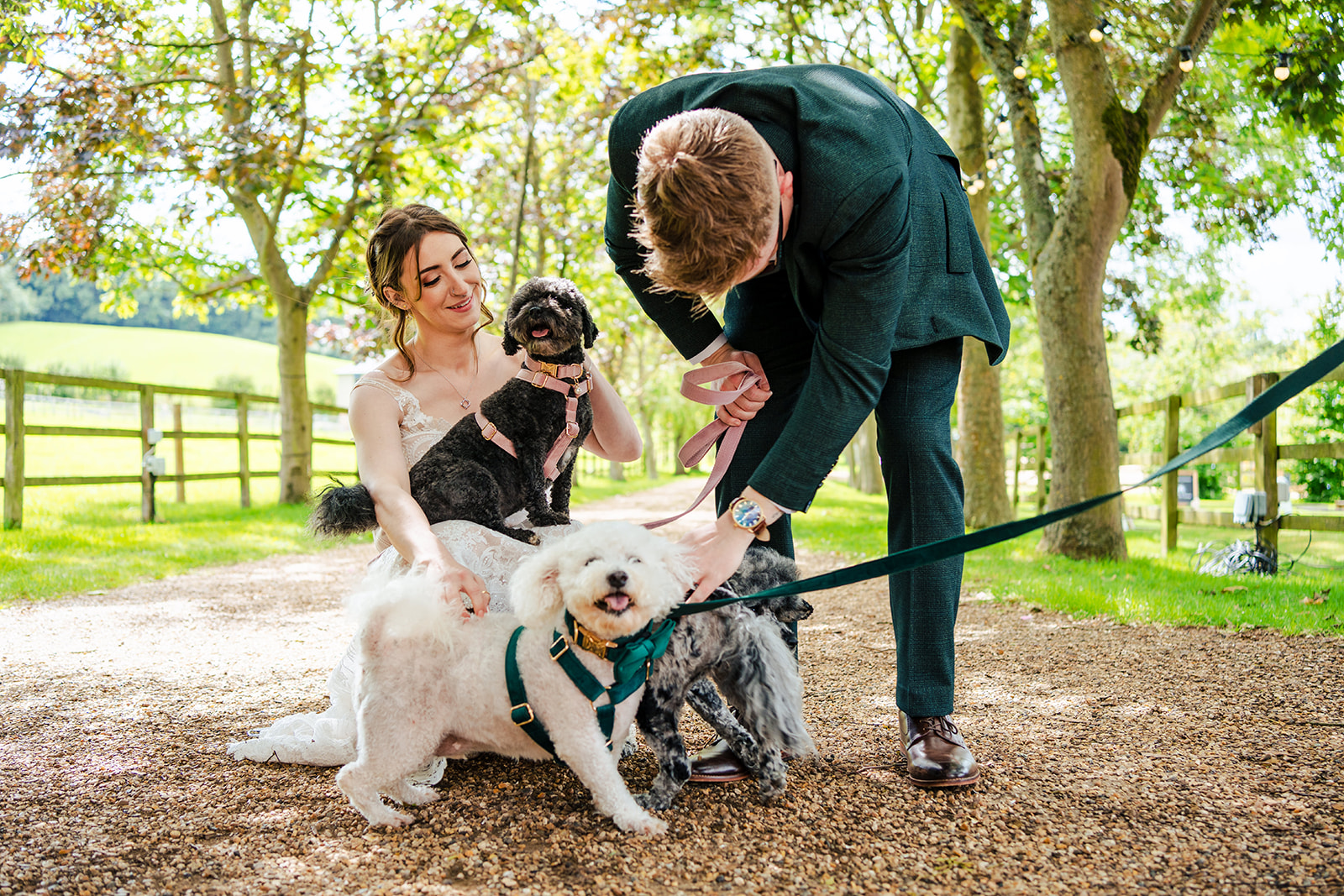 Wood Farm Everdon Wedding - A bride and groom stroll on a path with their dogs.